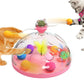 Whisker Wonderland: Interactive Cat Toy Extravaganza